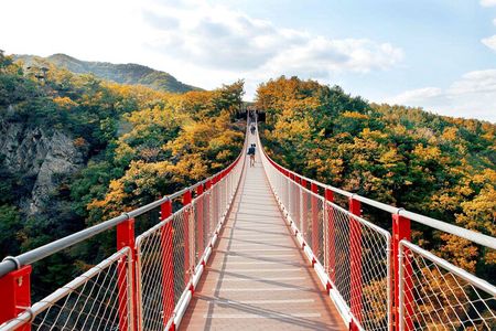 Seoul: DMZ and Gamaksan Suspension Bridge Full Day Tour