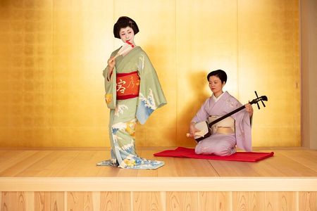 A Memorable Geisha Experience in Tokyo