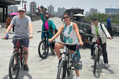 Xian Terracotta Warriors and City Wall Private Day Tour