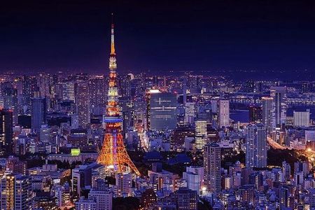 Tokyo City and Ashikaga Flowers Park or Kawagoe Private Day Tour 
