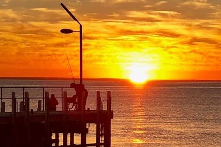Mornington Peninsula Private Sightseeing Day Tour from Melbourne.