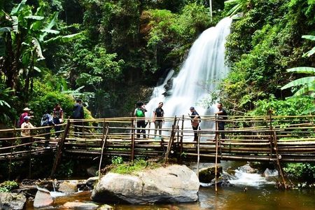 Doi Inthanon National Park and Hike Pha Dok Siew Nature Trail
