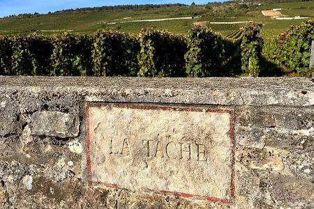 Discover the great wines of Vosne-Romanée 