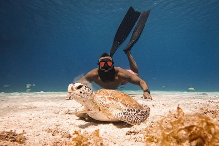 Curaçao Seabob in Playa Piskado Adventure with Sea Turtles