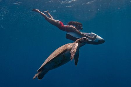 Curaçao Seabob in Playa Piskado Adventure with Sea Turtles