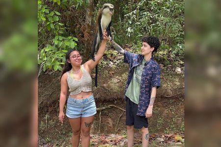 Taxi & Tours in Grenada , Chocolate factory, & more.