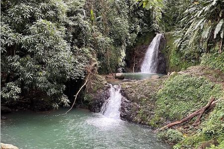 Skilla’s Luxury 24/7 Taxi & Tours Grenada 