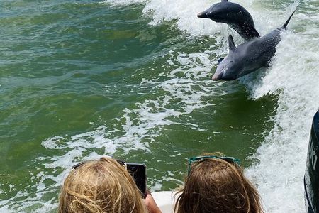 Marco Island and 10,000 Islands Sightseeing with Dolphin Tour 