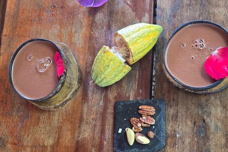 Private Chocolate and Pisco Sour Lesson