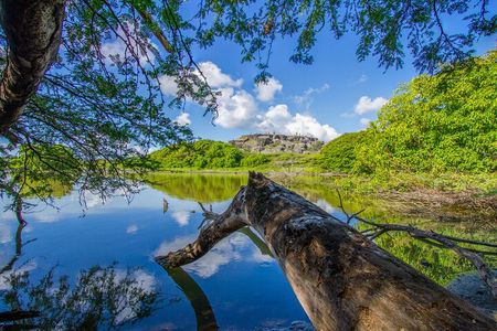 Private Island Tour with Photo Shoot Options Northern Tour