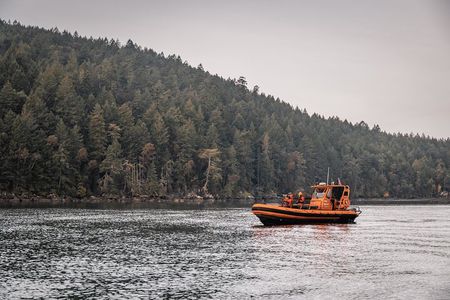 Private Whale Watching Nanaimo with Open Boat