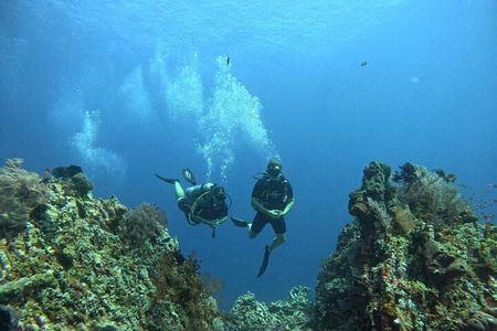 Gili Nanggu Sudak and Kedis Island Snorkeling Tour