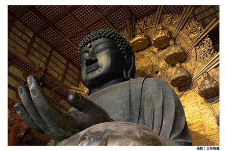 Nara Afternoon Tour from Kyoto or Osaka