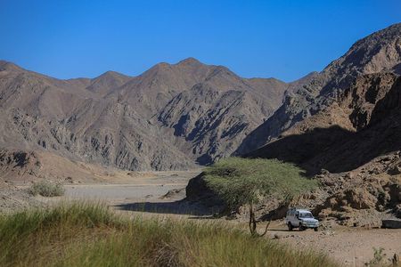 Guided Desert Hiking Tour in Wadi Naeba – Remote Half-Day Trek
