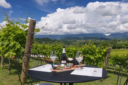 Tour and tasting in the hills of Prosecco Superiore DOCG