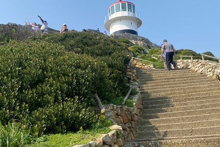 Full day Tour Cape Point and Good Hope with Penguins