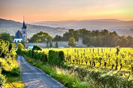 Sip Wine Along the Rhine! Romantic Rhein & Castle Wineries tour