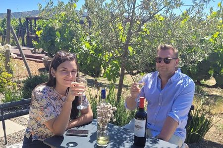 Wine Tour and Santiago City in a Small Group