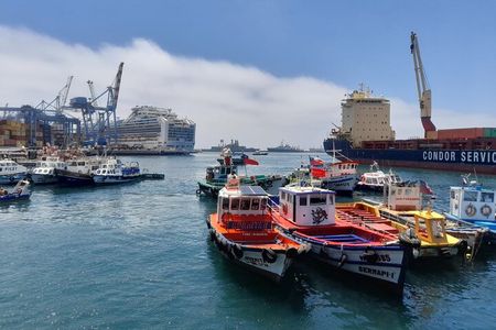 Cruise Port to Valparaiso & Casablanca: Drop-off in Santiago