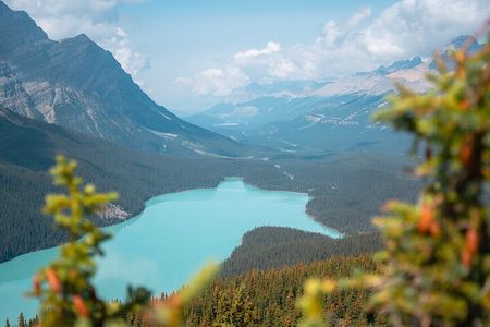 Experience the Columbia Icefield: storytelling Tour from Calgary