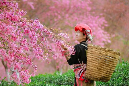 2-Day from Sapa: Majestic Valleys-True Homestay - Fansipan - Bike