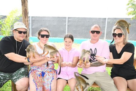 Half Day Puerto Plata City Tour and Monkey Home Visit