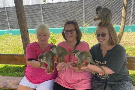 Half Day Puerto Plata City Tour and Monkey Home Visit