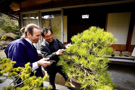 Hiroshima：Bonsai trimming tour (with photo data)