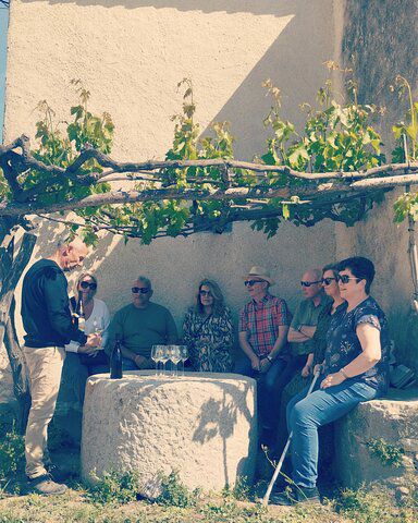 2 Wineries Small Group Tour with Free Hotel PickUp from Sitges 