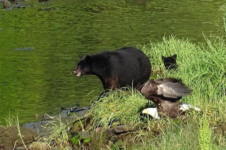 Customize Your Own Private Tour