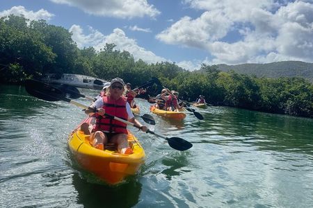 Mangrove Board Walk and Kayaking Tour