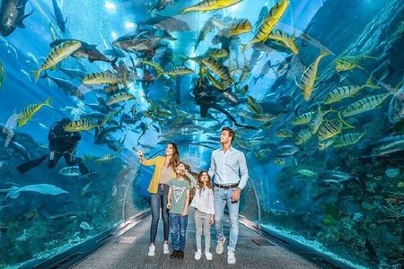 Dubai Fishing Adventure Downtown