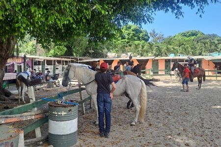 Quilombo Visit with Horse Backriding in Beach and Waterfall Tour