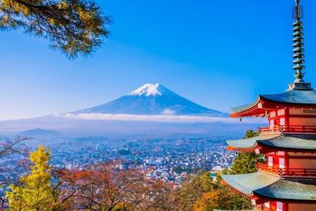 Mount Fuji Full Day Customizable Private Tour with English Guide