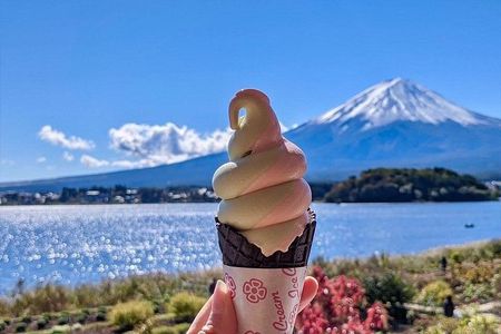 From Tokyo: Mount Fuji Full Day Private Tour with English Guide