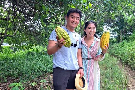 Finca Cocoa and Tropical Fruit with Free Typical Cooking Class
