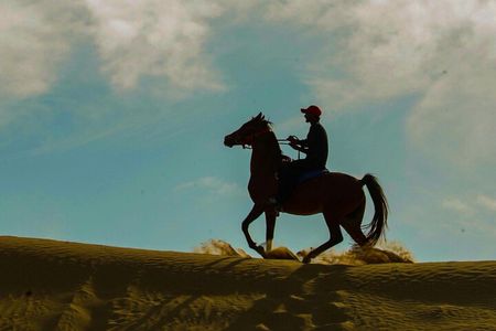 Desert Safari Horse and Camel Ride Dune Bashing Beach