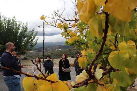 Chania Private Sunset Tour History Spectacles Views and Sights