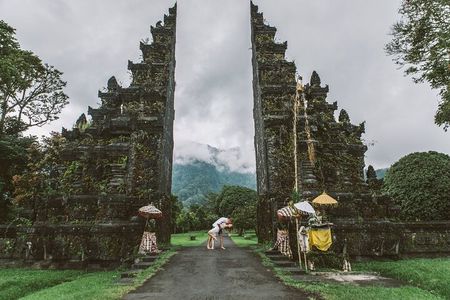 Ultimate Bali | Privately Guided Insta Tour with Driver / Guide