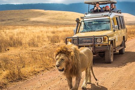 Discover Mikumi 3-Days Safari Adventure by Ferry from Zanzibar.