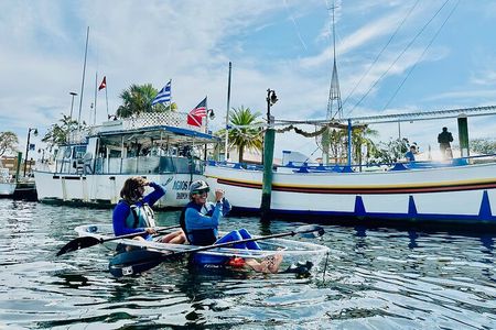 Clear Kayak Ecotour of Tarpon Springs Anclote River