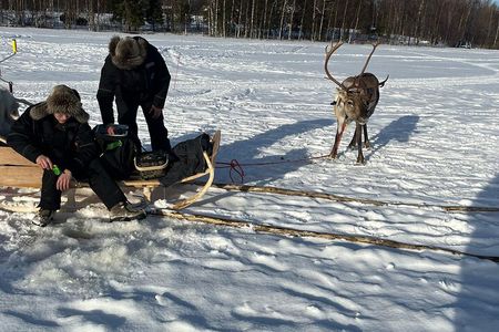 Ice Fishing With Reindeers