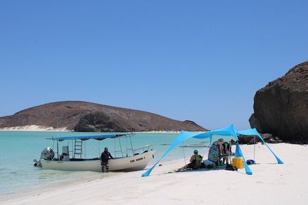 Most Popular Tour in La Paz Isla Espíritu Santo and Sea Lions