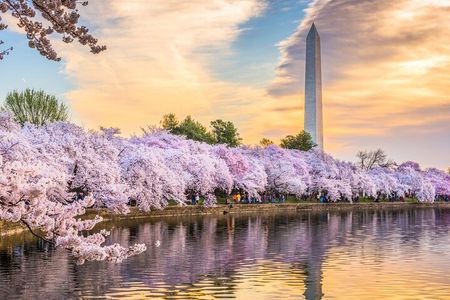 Washington DC Day Tour from New York City