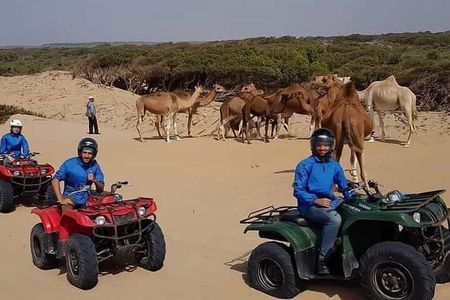 Essaouira: Quad tours (free transfer)
