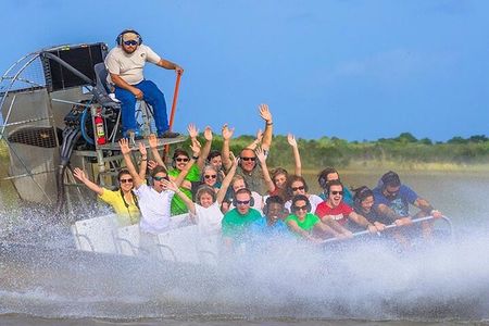 Everglades Alligator Airboat: A Guided Journey from Miami