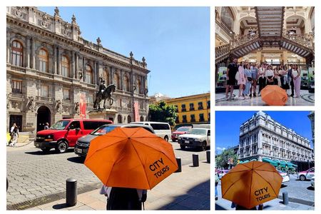 Private Tour Zocalo and Basilica of Guadalupe. With driver and guide