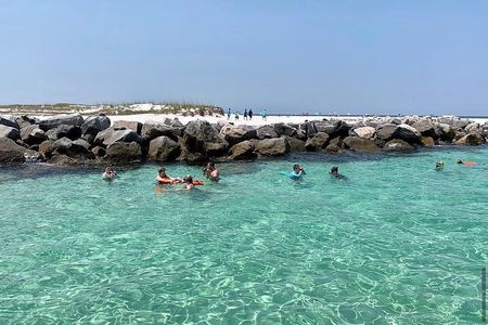 Shell Island Dolphin and Snorkel Boat Tour 