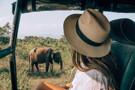 Udawalawe National Park Unforgettable Safari Jeep Experience