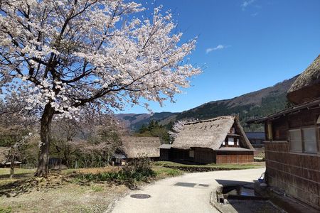 [One-day bus tour departing from Kanazawa Station] Shirakawa-go and Gokayama - Two World Heritage Villages Enjoyable Bus Tour